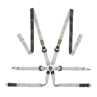 OMP One-D 2 PROTOTYPE ремни безопасности, 6 точек, 2", алюминий, серый / черный